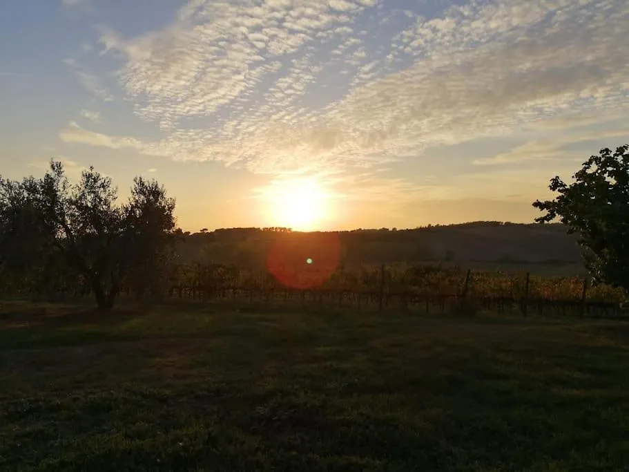 Podere 239 - Appartamento La Stalla Marsiliana Apartment