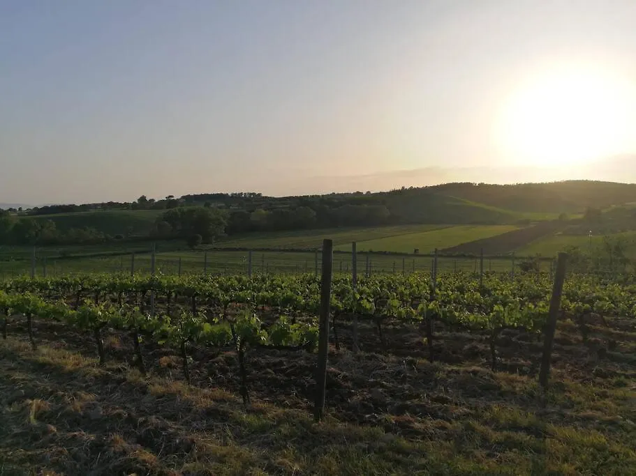 Podere 239 - Appartamento La Stalla Marsiliana
